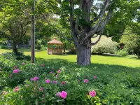 Harbour House Inn B&B Отели в г. Адамс