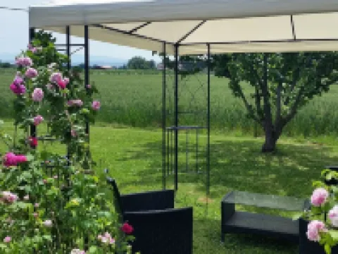B&B le Rose Hotels in Spello