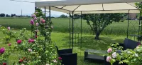 B&B Le Rose Hotel a Spello