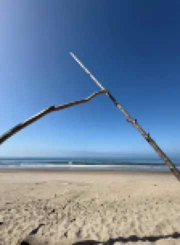 Lillie’s Oceanview RUSTIC Boho Surf Cottage Steps to the beach & fun!