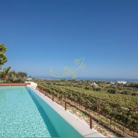 TD Tenuta Donna Madia Sea View Pool over Vineyard
