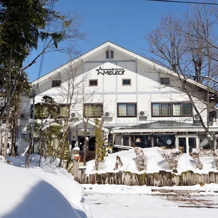 Hakuba Pension & Log Hotel Meteor