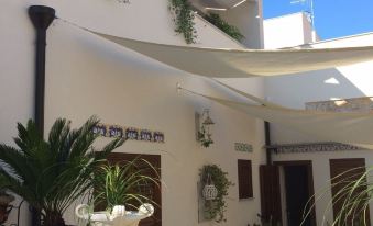 Tam Vacanze B&B