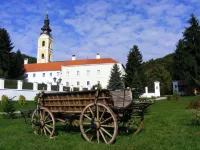 Rooms Milin Lagum Hotels in Vrdnik