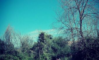 Tenuta Agricola Fonte di Papa