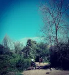 Tenuta Agricola Fonte di Papa