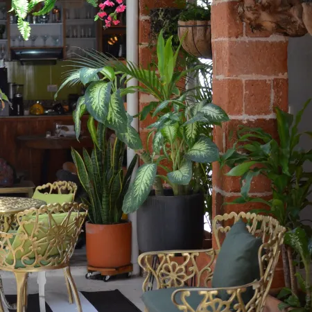Selva María Hotel Boutique