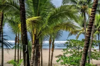 Lia Hotel Jaco Hotels in Jaco