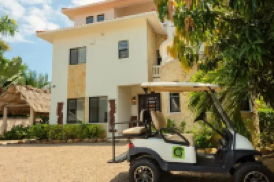 Villa Jammin Gecko in Belize City Hotels in 