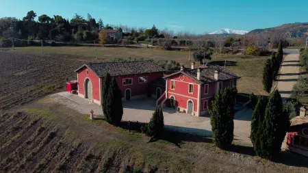 Cantina d'Erasmo - Camere e Degustazioni