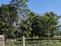 EJAAR HOMESTAY Hotels in Chepena-Kubua