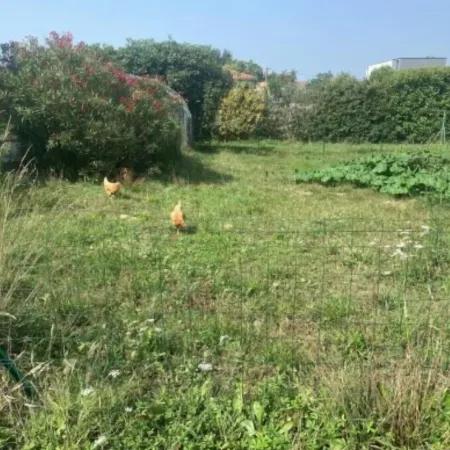 Maison Avec Piscine, Ker Animheart