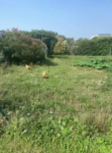 Maison Avec Piscine, Ker Animheart