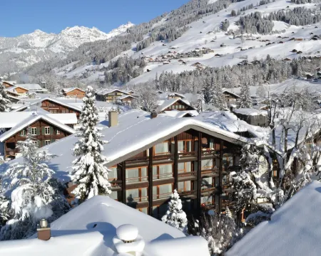 Hotel Kreuz Lenk Hotels in Lenk