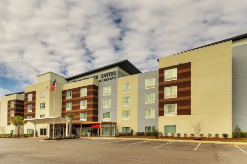 TownePlace Suites Mobile Saraland - 3 Sao