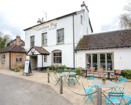 The Curious Pig in the Parlour Hotels in Copthorne