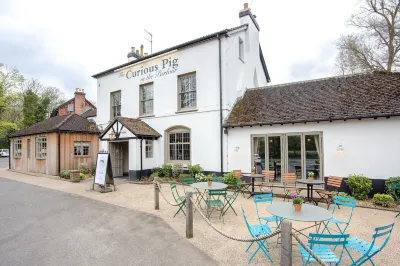 The Curious Pig in the Parlour Hotels in Felbridge
