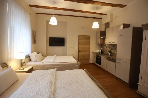 Pension Alte Scheune - Homestays