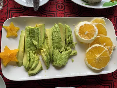 amazonian oropendola tambopata Отели в г. Тамбопата