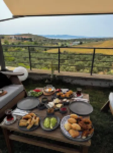 Dione Bozcaada Hotels in Tenedos