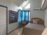 Charming Standalone 3-bedroom villa with AC and WiFi in lovely Frigate Bay Hoteles en 