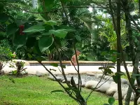 Eco Friendly Spacious Caribbean House with private pool.