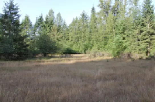 Creekbanks Cottage - a nature-lover's retreat