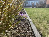 Landlust Bergsdorf - pure relaxation! Hotels in Zehdenick