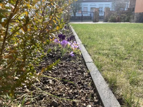 Landlust Bergsdorf - pure relaxation! Hotels in Zehdenick