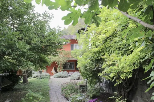 CLOUD 7 | Apartment in an idyllic location | ecological construction + equipment Hotels in Mullheim