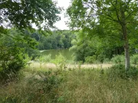 Idyllic location on the Wennsee and 10 min walk to the beach with beautiful garden. Hotel a Scharbeutz