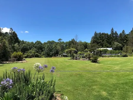 Bush Edge Studio Отели рядом с достопримечательностью «Уангамата Бич»