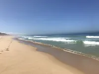 Falésia House - Galé Beach - Melides Hotels in Melides