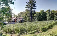 Vignoble du Domaine des 3 Moulins à 20 Min. de Qc