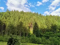 Ferienhaus Komplett neu 14 Automin. vom Weisensee Entfernt. Wanderwege vor Ort Hotels in Stockenboi