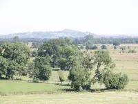 Heron Lodge Castle Farm فنادق في Sedgemoor
