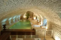 Château de Vault de Lugny - Pools