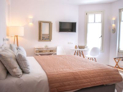 Anemomiloi Andros Boutique Hotel