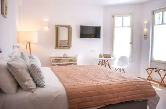 Anemomiloi Andros Boutique Hotel
