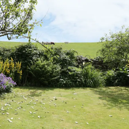 Waingate Cottage