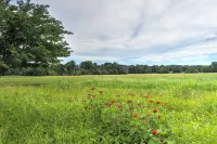 Charming Carmine Studio w/ Pond on 60-Acre Farm! - Homestays