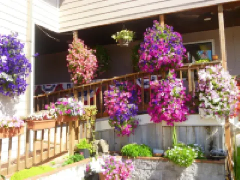 트레이드윈즈 모텔 락커웨이비치 호텔