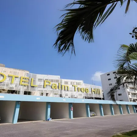 Hotel Palm Tree Hill