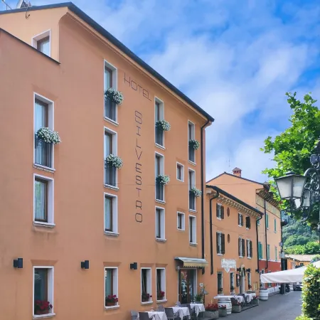 Hotel Dependance Silvestro Hotels in Garda Town