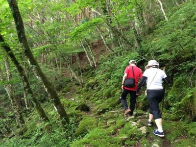 ホテル周辺 火の谷温泉　美杉リゾート　ホテルＡＮＮＥＸの写真