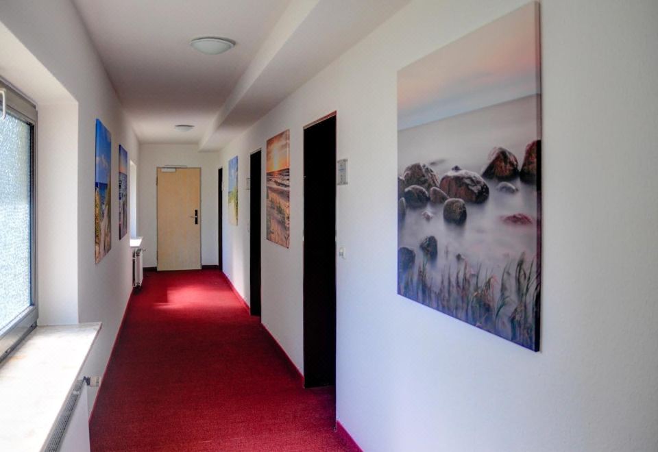 인셀 존넨인젤 페마른 이미지