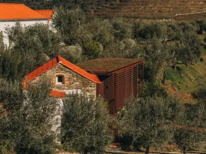 Ventozelo Hotel & Quinta