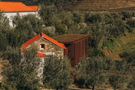 Ventozelo Hotel & Quinta Отели в г. Валонгу-душ-Азейтеш