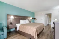 Quality Inn Greenville Near University Hotels in Greenville