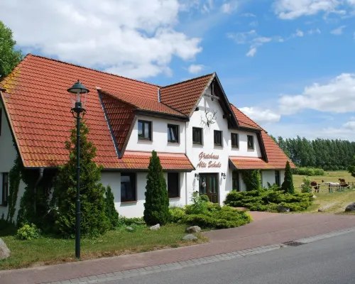 Wohnung in Dargun Mit Pool Und Streichelzoo Hotels in Dargun